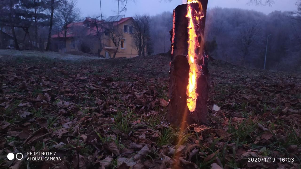 Tomaszów Lubelski Apartament W Domu Na Wsi מראה חיצוני תמונה