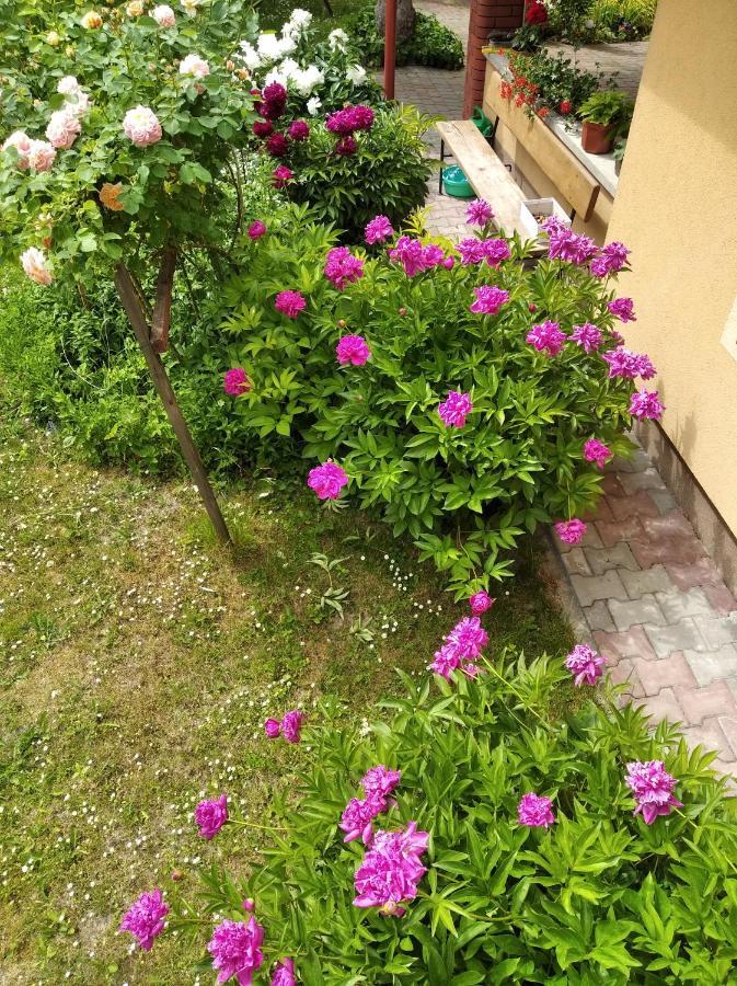 Tomaszów Lubelski Apartament W Domu Na Wsi מראה חיצוני תמונה