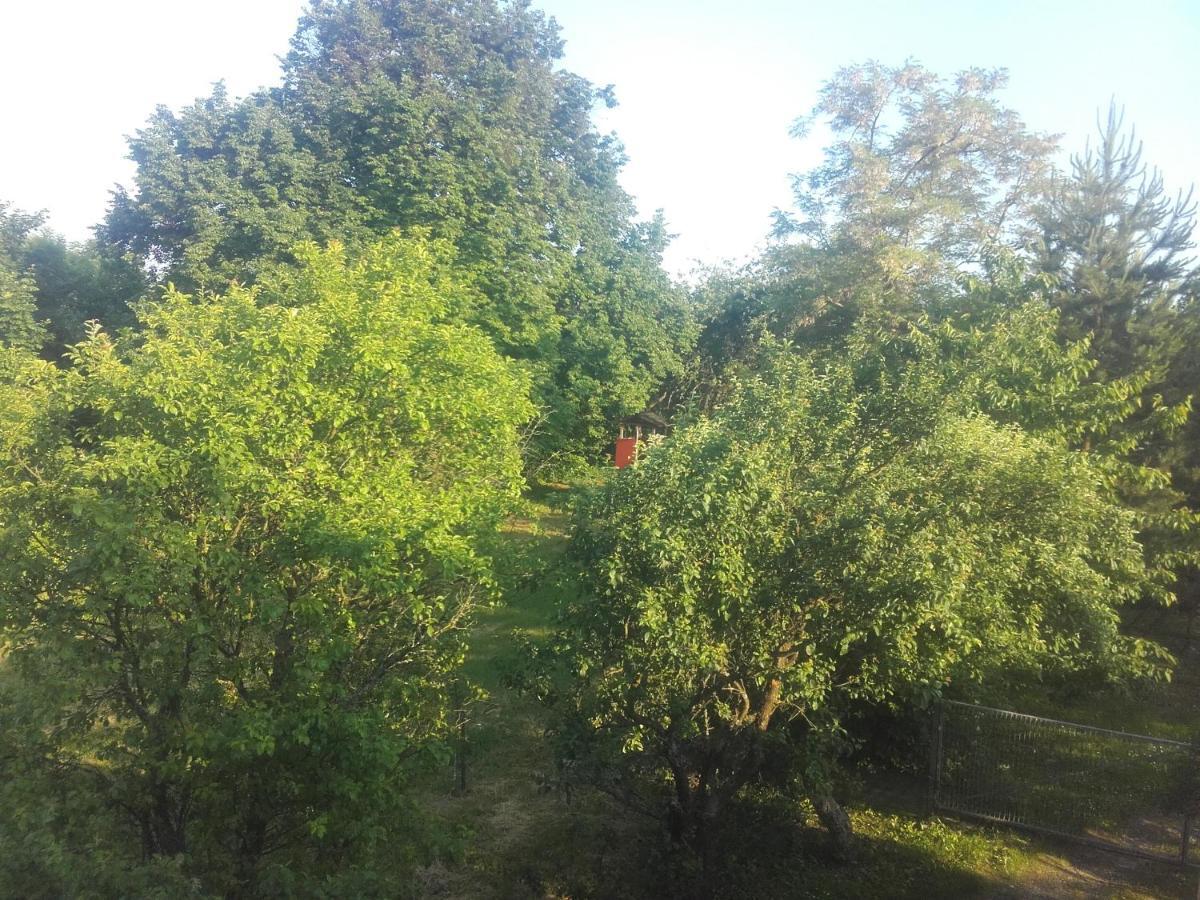 Tomaszów Lubelski Apartament W Domu Na Wsi מראה חיצוני תמונה