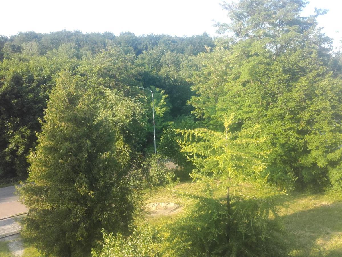 Tomaszów Lubelski Apartament W Domu Na Wsi מראה חיצוני תמונה