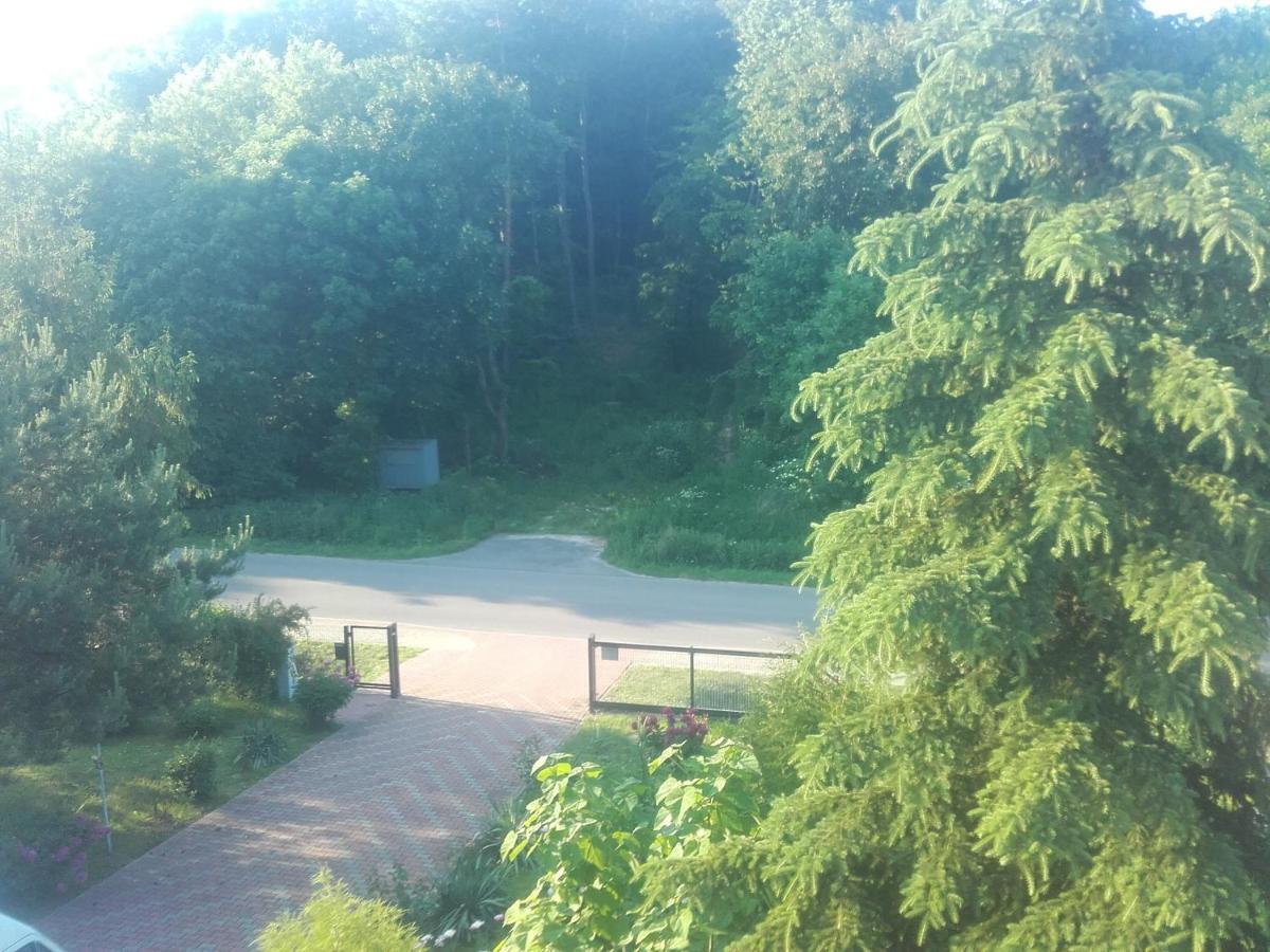 Tomaszów Lubelski Apartament W Domu Na Wsi מראה חיצוני תמונה